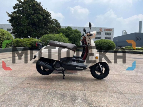 Скутер WELS (Велс) VERDE фото 6