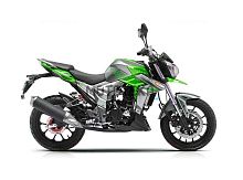 Мотоцикл дорожный Regulmoto (Регулмото) T - Leopard 300 зелёный с ПТС