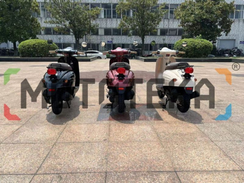 Скутер WELS (Велс) VERDE фото 5