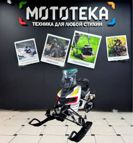 Снегоход MotoLand (Мотолэнд) BARS 200 (машинокомплект) фото 4