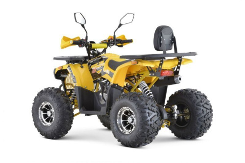 Квадроцикл подростковый FXMOTO (ФХМото) PIKE 150 жёлтый (машинокомплект) фото 5