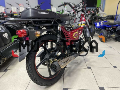 Мопед MotoLand (Мотолэнд) Дельта (А) фото 12