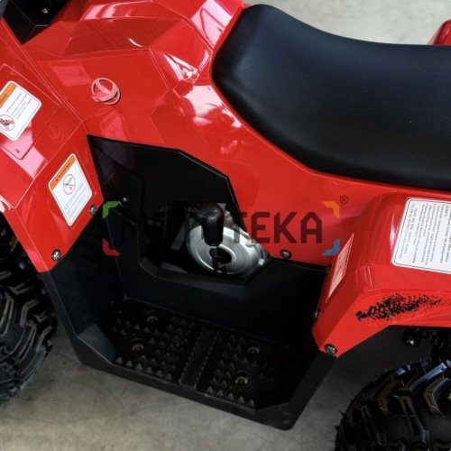 Квадроцикл детский YACOTA (Якота) RAPOSA 110 красный (машинокомплект) фото 4