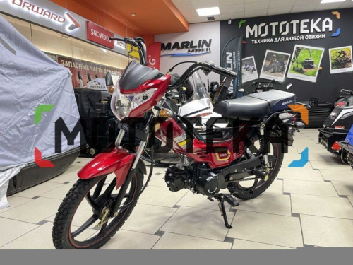 Мопед MotoLand (Мотолэнд) Дельта (А) фото 2