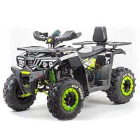 Квадроцикл MotoLand (Мотолэнд) VOX200 WILD TRACK LUX ( баланс. вал) A (машинокомплект)