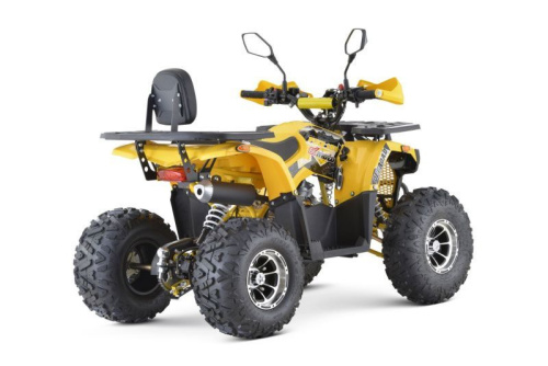 Квадроцикл подростковый FXMOTO (ФХМото) PIKE 150 жёлтый (машинокомплект) фото 4