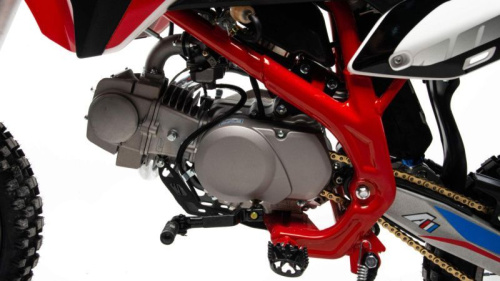 Питбайк MotoLand (Мотолэнд) Apollo125 DT125 фото 6