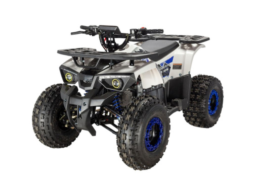 Квадроцикл Avantis (Авантис) ATV Classic 8 NEW (A) (машинокомплект) фото 2