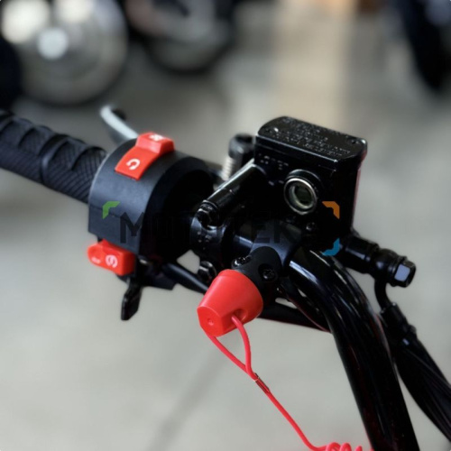 Квадроцикл детский YACOTA (Якота) RAPOSA 110 красный (машинокомплект) фото 2