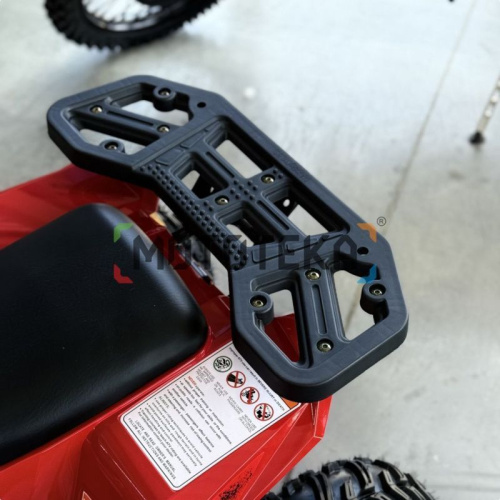 Квадроцикл детский YACOTA (Якота) RAPOSA 110 красный (машинокомплект) фото 6