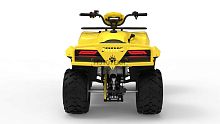 Квадроцикл IRBIS (Ирбис) ATV 250 2024 желтый с ПСМ