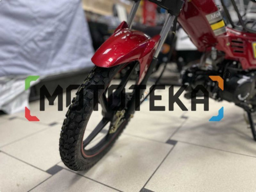 Мопед MotoLand (Мотолэнд) Дельта (А) фото 5