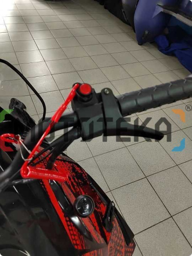 Снегоход IRBIS (Ирбис) SF 200 L Long чёрный/красный с ПСМ фото 19