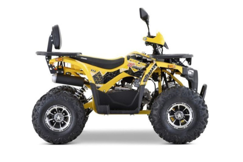 Квадроцикл подростковый FXMOTO (ФХМото) PIKE 150 жёлтый (машинокомплект) фото 7