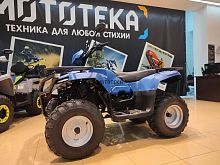 Квадроцикл IRBIS (Ирбис) ATV 250 2024 синий с ПСМ