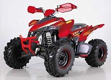 Квадроцикл Yacota (Якота) TYPHOON 250 красный (машинокомплект)
