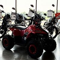 Квадроцикл детский YACOTA (Якота) RAPOSA 110 красный (машинокомплект)