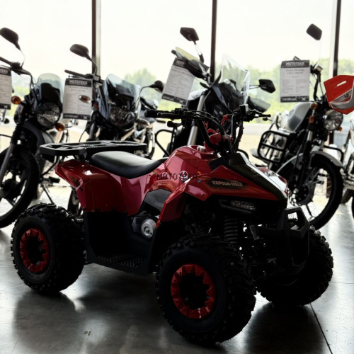 Квадроцикл детский YACOTA (Якота) RAPOSA 110 красный (машинокомплект)