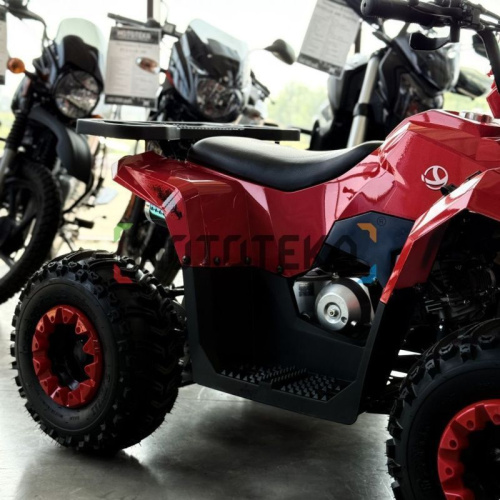 Квадроцикл детский YACOTA (Якота) RAPOSA 110 красный (машинокомплект) фото 3