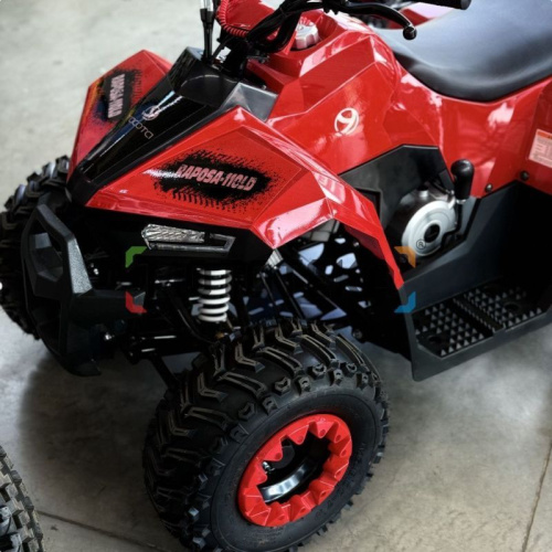 Квадроцикл детский YACOTA (Якота) RAPOSA 110 красный (машинокомплект) фото 5