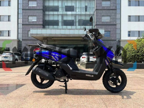 Скутер WELS (Велс) BWS фото 2