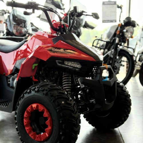 Квадроцикл детский YACOTA (Якота) RAPOSA 110 красный (машинокомплект) фото 7