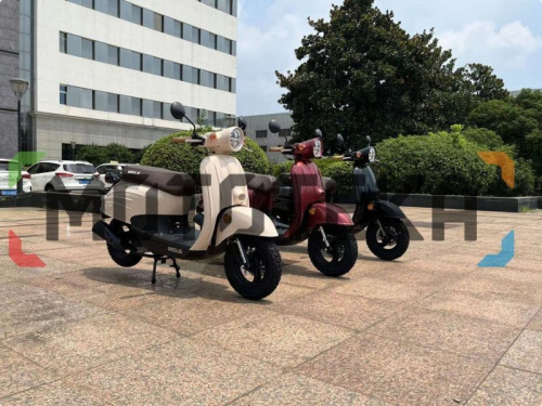 Скутер WELS (Велс) VERDE фото 8