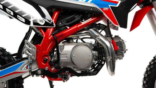 Питбайк MotoLand (Мотолэнд) Apollo125 DT125 фото 5