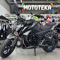 Мотоцикл дорожный MotoLand (Мотолэнд) 300 DF BIG BORE (XF300-B) (CBS300 с балансиром) серый с ПТС