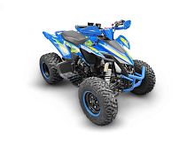 Квадроцикл Yacota (Якота) TYPHOON 250 синий (машинокомплект)