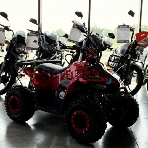 Квадроцикл детский YACOTA (Якота) RAPOSA 110 красный (машинокомплект) фото 9