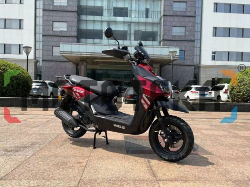 Скутер WELS (Велс) BWS фото 17