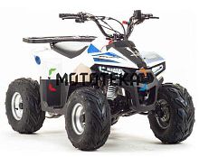 Квадроцикл детский Zuumav (Зуумав) MUDHAWK 110 чёрный (машинокомплект)