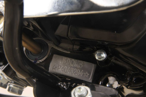 Мопед FXMOTO (ФХМото) FX 50 ALPHA 50 (110) фото 7