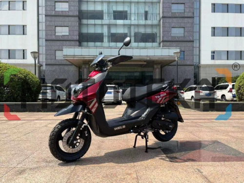 Скутер WELS (Велс) BWS фото 20