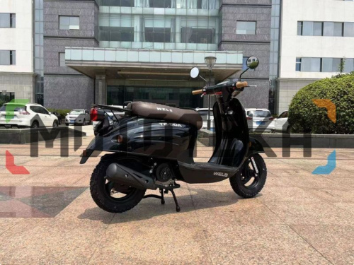 Скутер WELS (Велс) VERDE фото 14