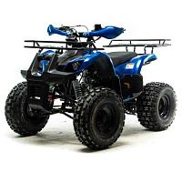 Квадроцикл детский MotoLand (Мотолэнд) VOX125 FOX синий (машинокомплект)