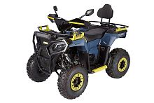 Квадроцикл Avantis (Авантис) Ray 200 Lux (машинокомплект)