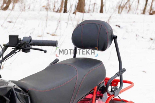 Снегоход IRBIS (Ирбис) TUNGUS (Тунгус) 400 2024 чёрный/красный с ПСМ фото 8