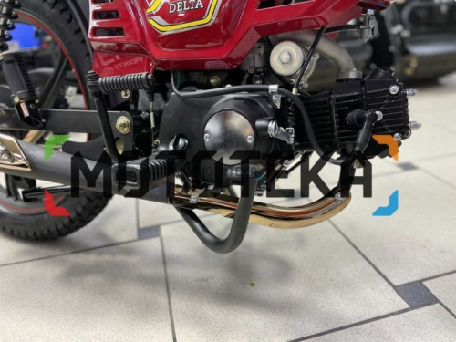 Мопед MotoLand (Мотолэнд) Дельта (А) фото 14
