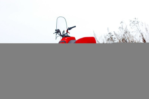 Снегоход IRBIS (Ирбис) Dingo T200 (Ирбис Динго Т200) чёрный/красный с ПСМ фото 5