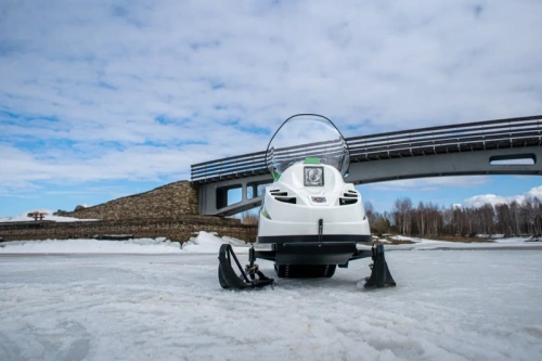 Снегоход БТС Арктик - 4Т 18.5 л.с., эл. запуск (машинокомплект) фото 2