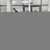 Мотоцикл кроссовый / эндуро Regulmoto (Регулмото) ATHLETE 250 19/16 с ПТС