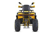Квадроцикл FXMOTO (ФХмото) WASP 200 жёлтый (машинокомплект)