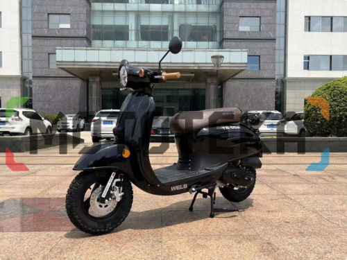 Скутер WELS (Велс) VERDE фото 18