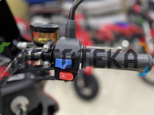 Скутер Мотомир GALAXY 49.9 (150) красный фото 33