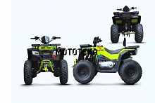 Квадроцикл Progasi (Прогаси) RaceJumper MaxPower 200 Forest green (машинокомплект)